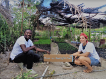 Financement de My Tree pour la plantation d'arbres en Haïti 2017: Compte rendu